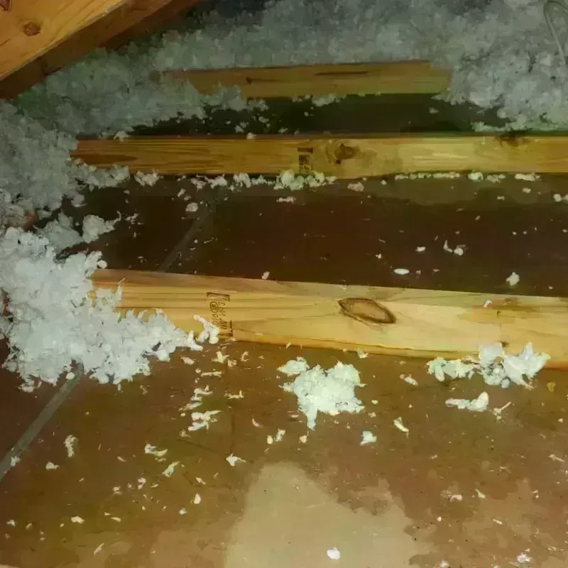 Attic Water Damage in Fishersville, VA